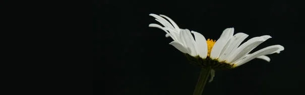 Benutzerbanner von graffeli