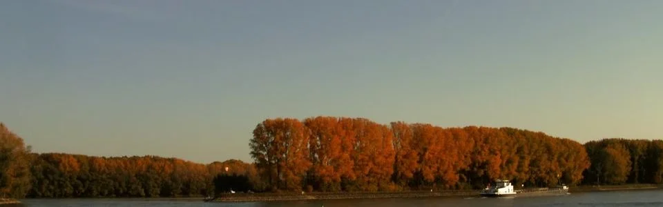Benutzerbanner von Schokoerdbeer
