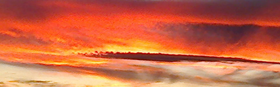 Benutzerbanner von helga72