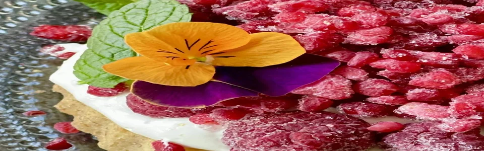 Benutzerbanner von Passifleur