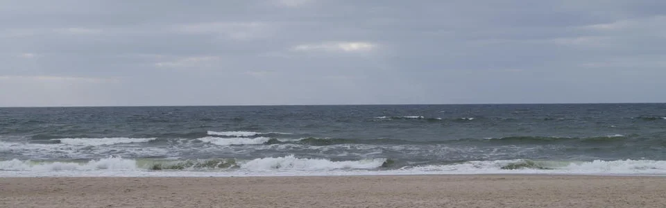 Benutzerbanner von Reily09