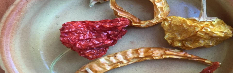 Benutzerbanner von Chilitanz