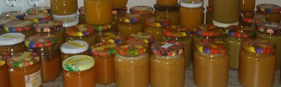 Benutzerbanner von ellahexe