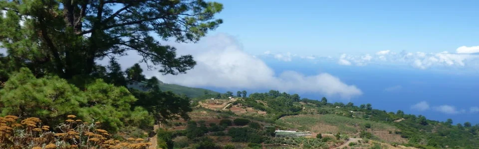 Benutzerbanner von meike21