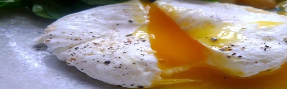 Benutzerbanner von Schnippelboy