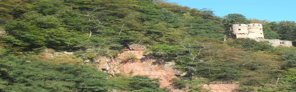 Benutzerbanner von dieoma146