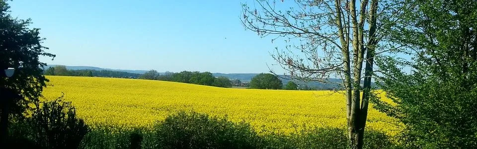 Benutzerbanner von Ziege48