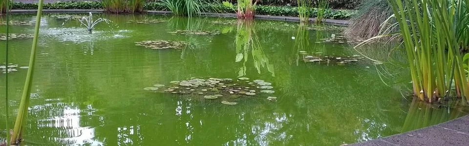 Benutzerbanner von kitchenfee91