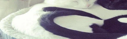 Benutzerbanner von Giggi68