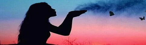 Benutzerbanner von Schweinehund