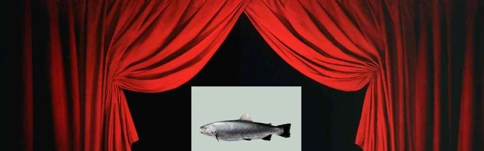 Benutzerbanner von nblancroche