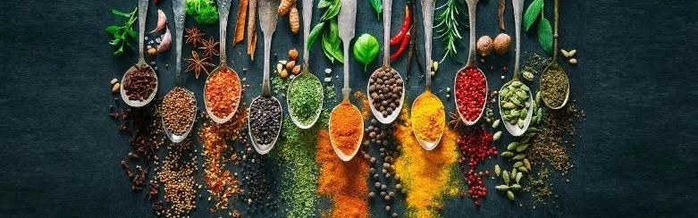 Benutzerbanner von Skaikru