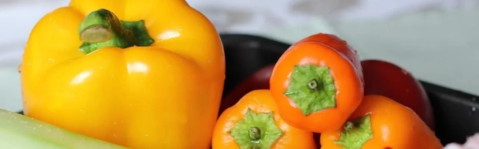 Benutzerbanner von johannisbergerin