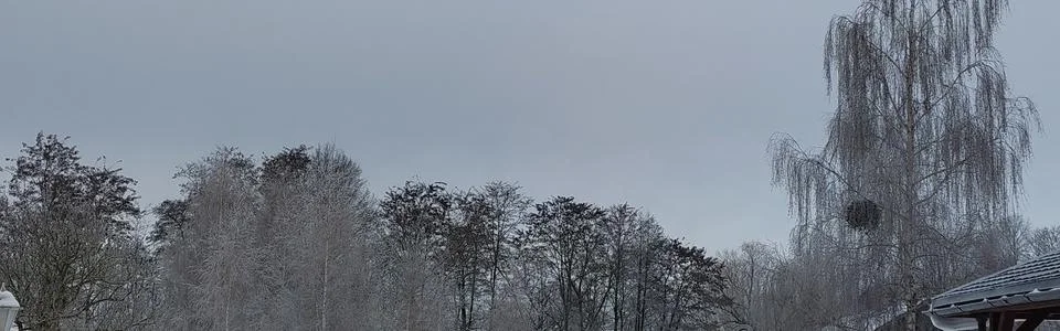 Benutzerbanner von loewe_bs