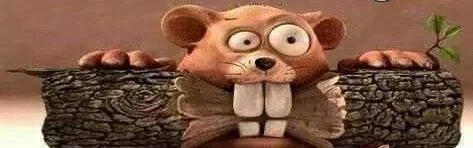 Benutzerbanner von finchenbienchen