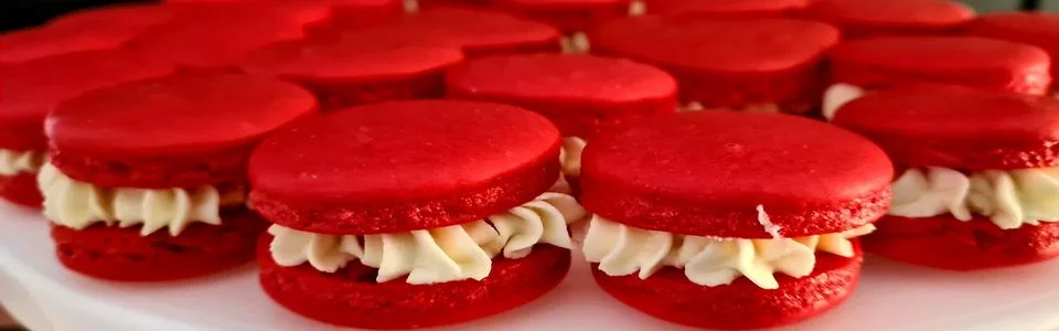 Benutzerbanner von Molly1702