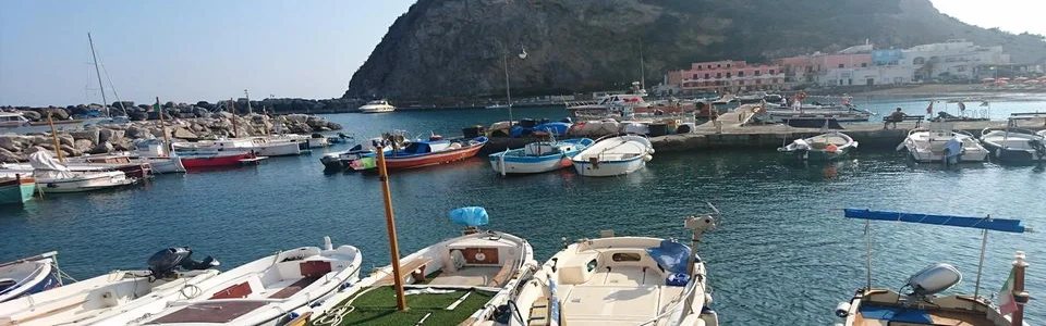 Benutzerbanner von Anna-Anita