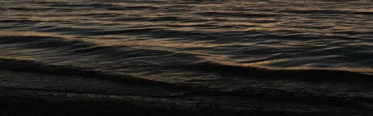 Benutzerbanner von KatyEl