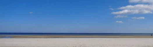 Benutzerbanner von Cookies