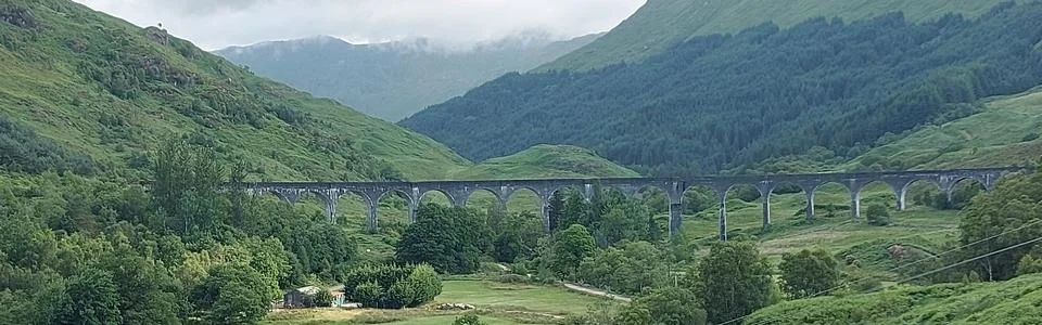 Benutzerbanner von pamilo