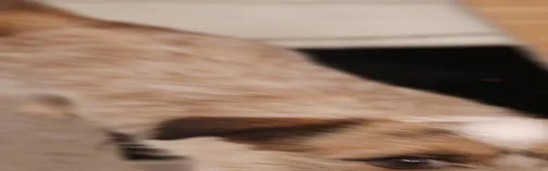 Benutzerbanner von chiscencia