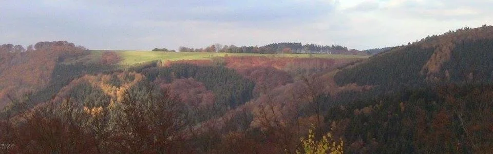 Benutzerbanner von BlackBaron2000