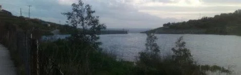 Benutzerbanner von erifili