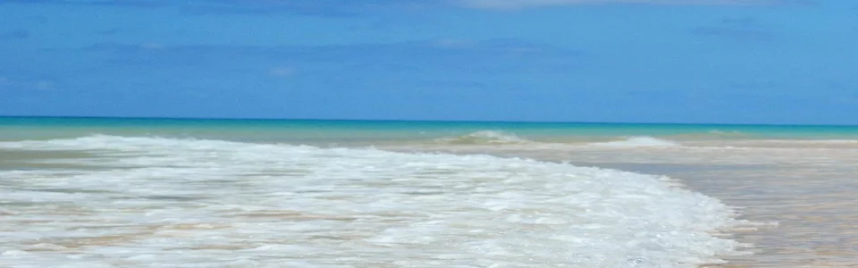 Benutzerbanner von luna-61