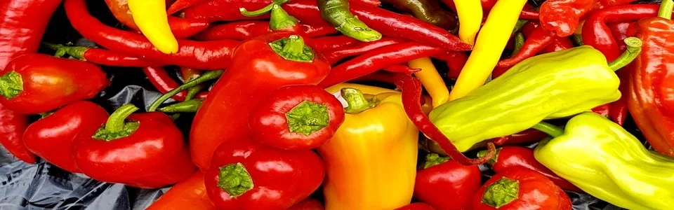 Benutzerbanner von Locke52