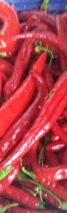 Benutzerbanner von Locke52