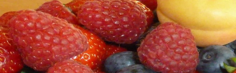 Benutzerbanner von Pastapabst