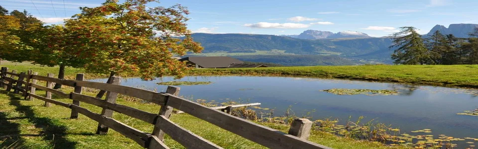 Benutzerbanner von Forelle1962