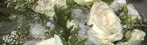 Benutzerbanner von Bastelfee01