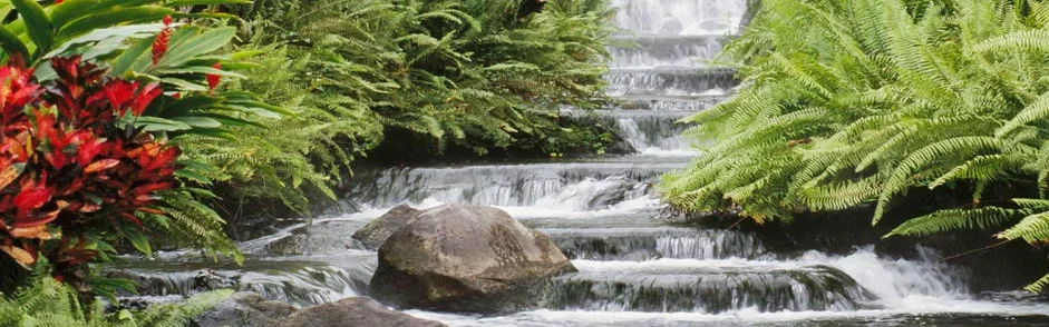 Benutzerbanner von etuk