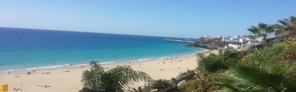 Benutzerbanner von faxine