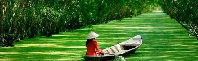 Benutzerbanner von Greif33