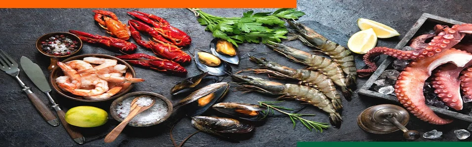 Benutzerbanner von zuechner