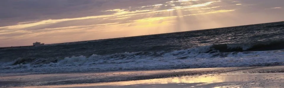 Benutzerbanner von Sannys