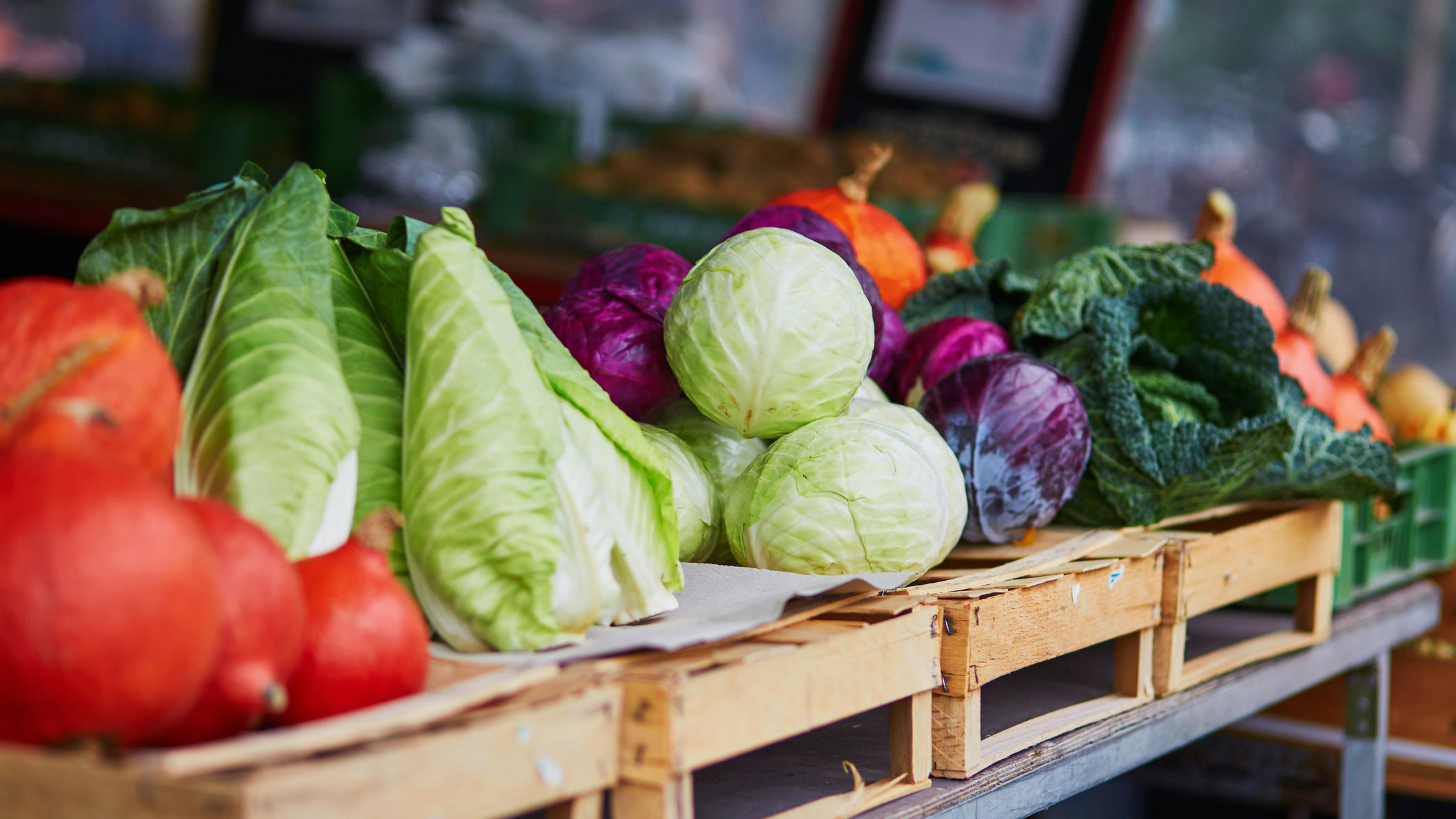 Powerfood Wintergemüse: Diese Lebensmittel liefern im Winter wichtige Vitamine Spitzkohl, Grünkohl und anderes Wintergemüse auf dem Markt