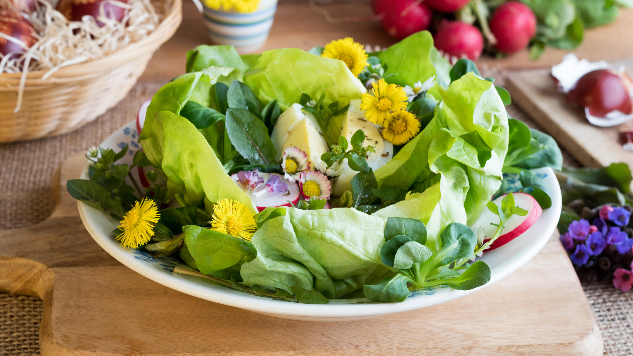 Nudelsalat und Co.: Vier leichte, besondere Sommersalate für die ganze Familie Gänseblümchensalat