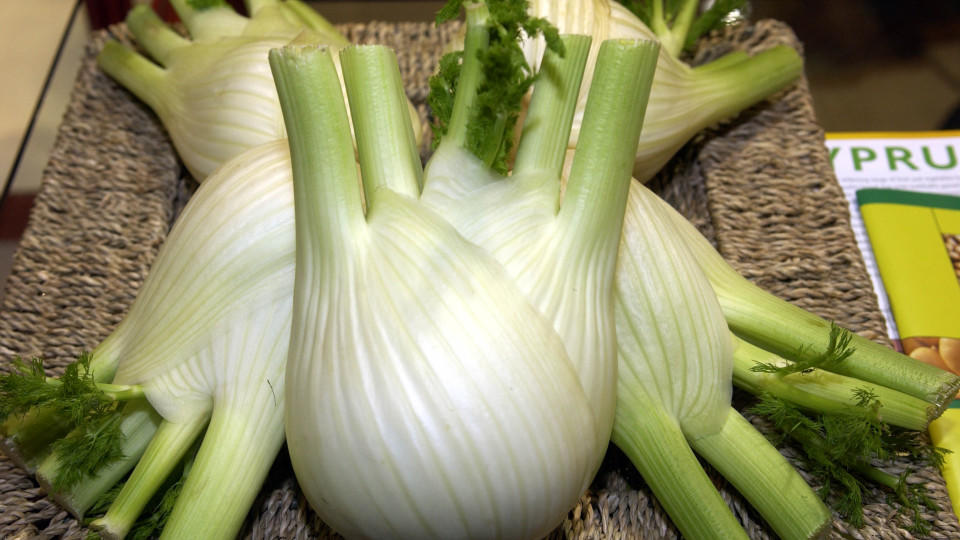 Fenchel - Gemüse mit Heilwirkung - kochbar.de