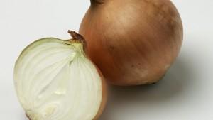 Die Zwiebel – eine vielschichtige Knolle! Die Zwiebel – eine vielschichtige Knolle!