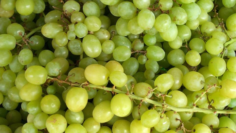 Cheers! Beschwipste Weintrauben sind der perfekte Abkühl-Snack Weintrauben mit Schuss - ein perfekter Snack zum Abkühlen an heißen Sommertagen..