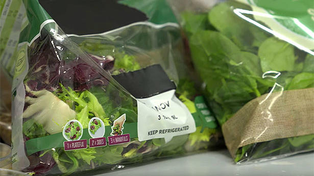 schnittsalat Tütensalat abgepackter Salat 