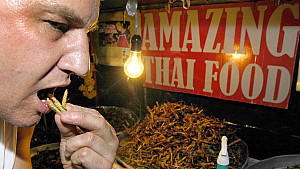 Insekten: Vitaminreich, mineralienreich - und lecker? Insekten: Vitaminreich, mineralienreich - und lecker?