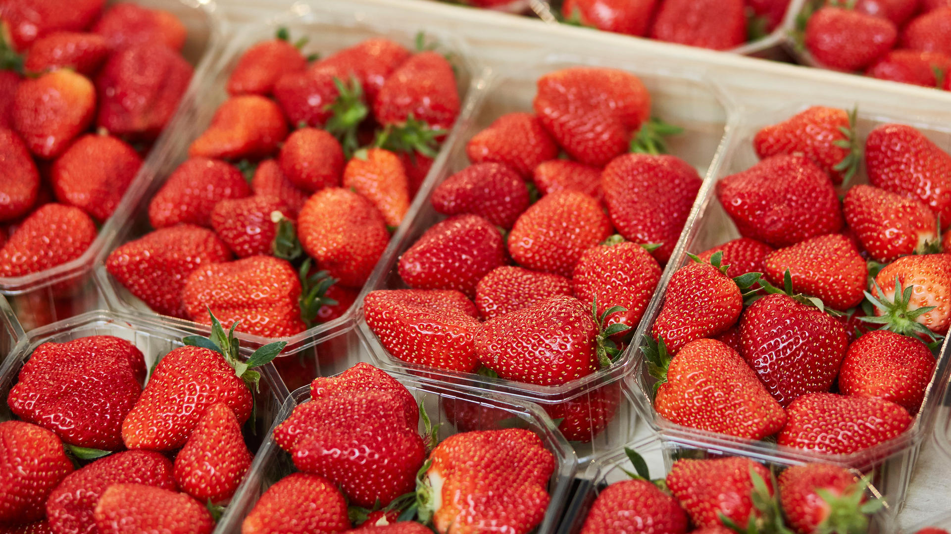 Erdbeeren im &amp;#39;Öko-Test&amp;#39;: Rewe-Früchte fallen knallhart durch - kochbar.de