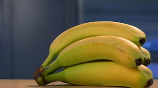Bananenschale statt Pflaster Bananenschale statt Pflaster