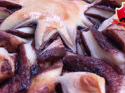 Nutella-Blume