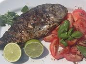 Das perfekte Grillfisch-Rezept