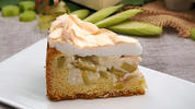 Rhabarberkuchen mit Pudding